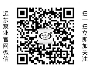 中國(guó)遠(yuǎn)東泵業(yè)制造有限公司