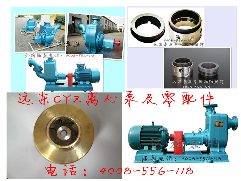 遠(yuǎn)東CYZ離心泵