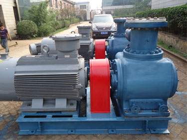 W雙螺桿泵 W雙螺桿泵