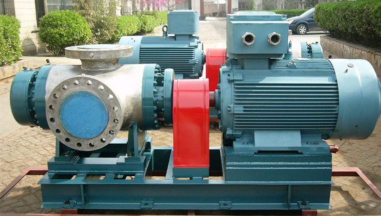 W不銹鋼雙螺桿泵