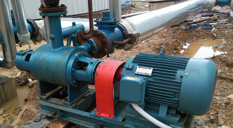 保溫雙螺桿泵 保溫雙螺桿泵