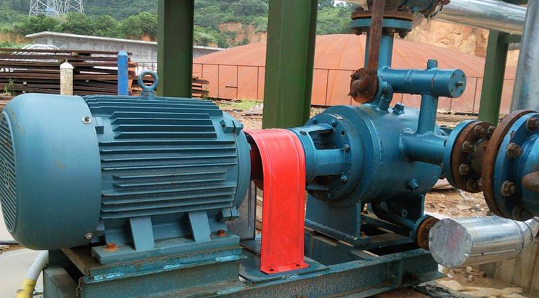 保溫雙螺桿泵 保溫雙螺桿泵