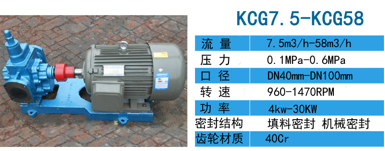KCG高溫齒輪油泵 KCG高溫齒輪油泵
