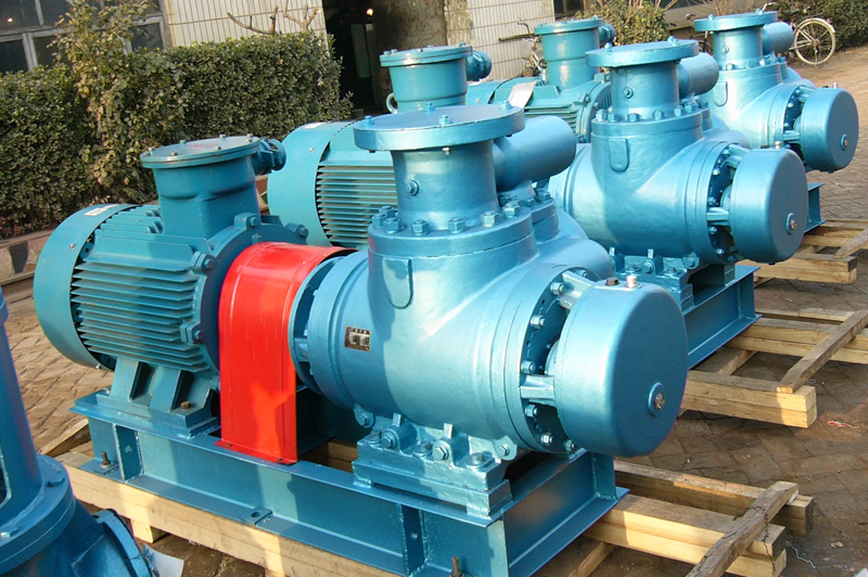 雙螺桿泵實物圖