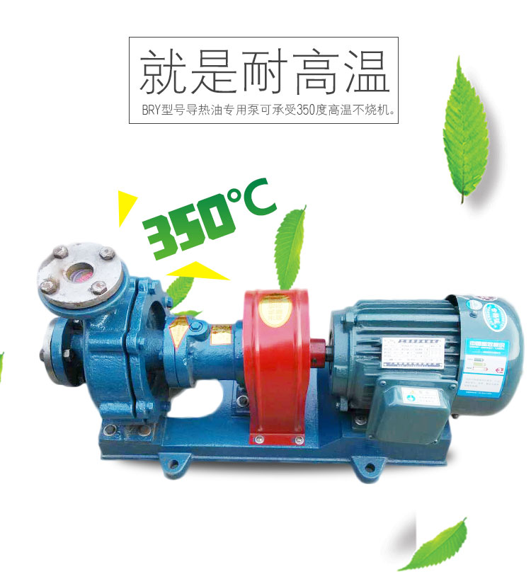 BRY熱媒循環(huán)泵 BRY熱媒循環(huán)泵