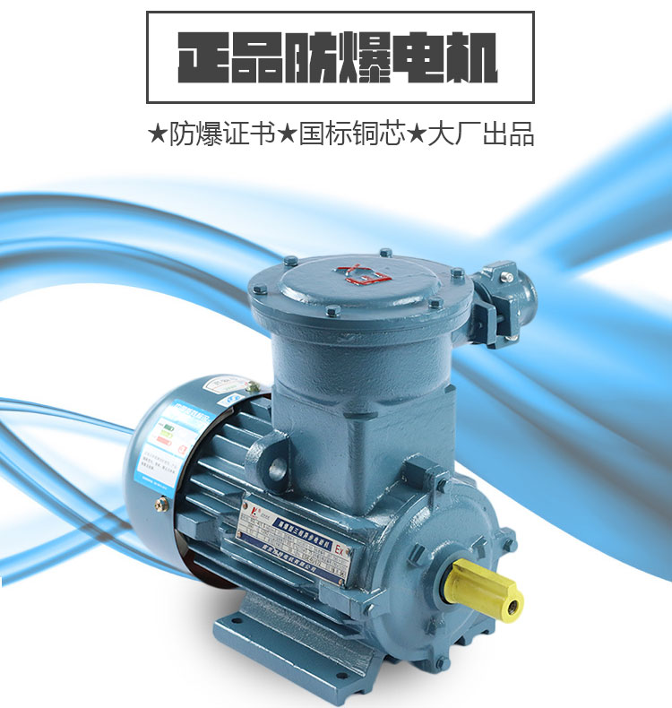 KCB防爆齒輪式輸油泵 KCB防爆齒輪式輸油泵