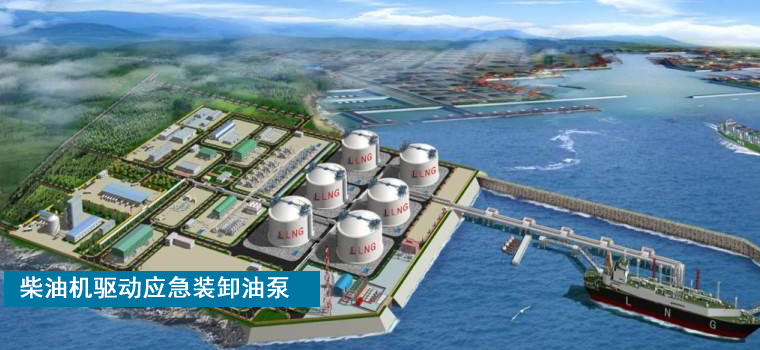 柴油機(jī)驅(qū)動(dòng)齒輪泵 柴油機(jī)驅(qū)動(dòng)齒輪泵