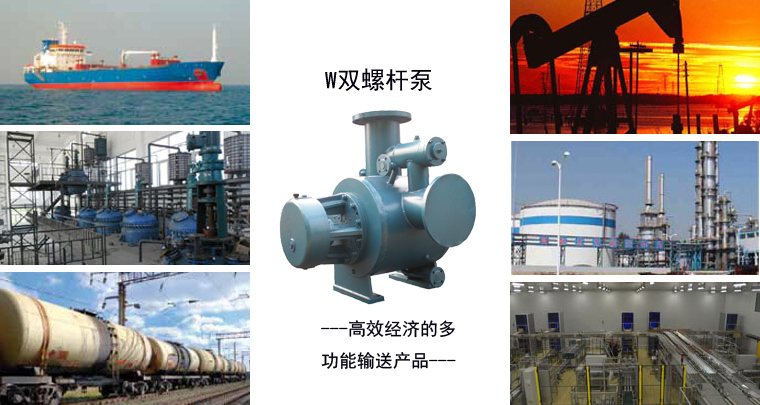 雙螺桿泵安裝指導(dǎo) 雙螺桿泵安裝指導(dǎo)