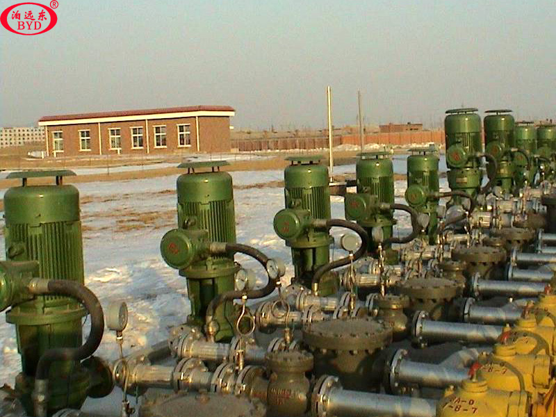 立式管道離心油泵 立式管道離心油泵