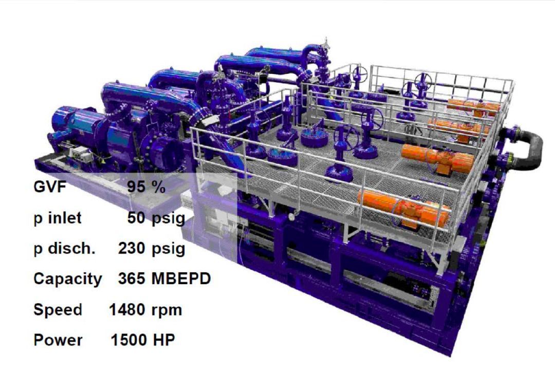油氣混輸雙螺桿泵 油氣混輸雙螺桿泵