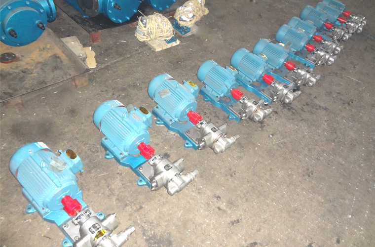 輸送紅花籽油用泵-嘉里糧油選用遠(yuǎn)東KCB-83.3不銹鋼齒輪泵