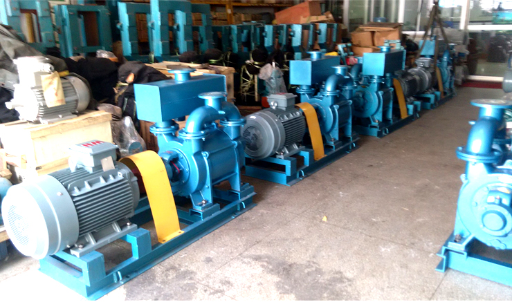 建滔化工集團SK-12水環(huán)式真空泵遠東準時交貨給用戶使用