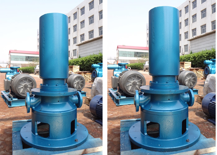 重慶合川富金壩水力發(fā)電廠3G70×6C2高壓螺桿泵順利通過驗收