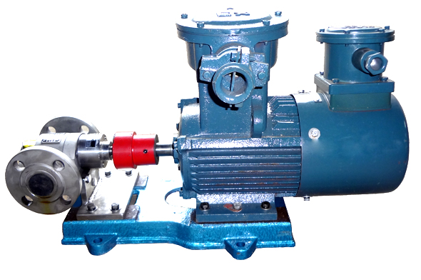 變頻調(diào)速不銹鋼齒輪泵 變頻調(diào)速不銹鋼齒輪泵