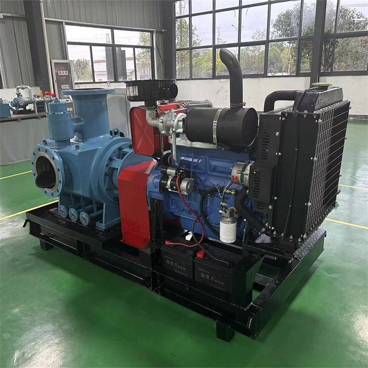 柴油機(jī)驅(qū)動雙螺桿泵 柴油機(jī)驅(qū)動雙螺桿泵
